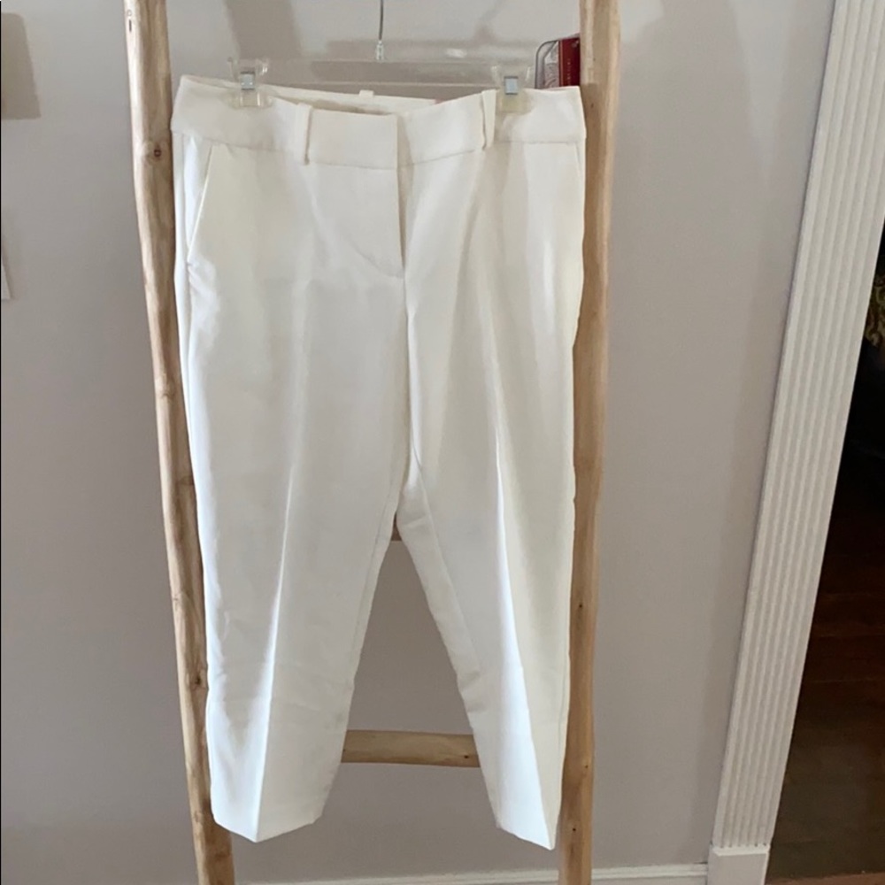 Ann Taylor dress pants